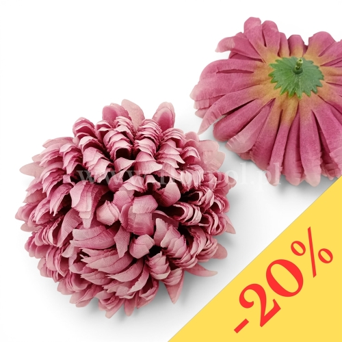 Chryzantema ananas 6szt #24 eozyna/ciemniejsza nasada (Basia)