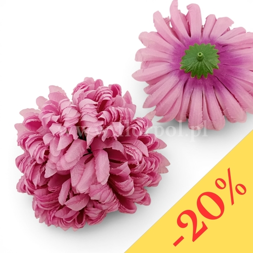 Chryzantema ananas 6szt #25 pastelowy róż/ciemniejsza nasada (Basia)