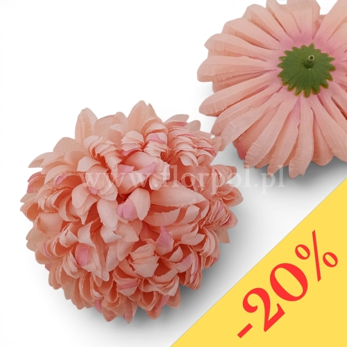 Chryzantema ananas 6szt #34 morelowy róż (Basia)