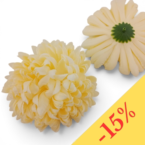 Chryzantema ananas 6szt #6 kremowy (Basia)
