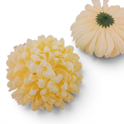 Chryzantema ananas 6szt #5 jasny kremowy (Basia)