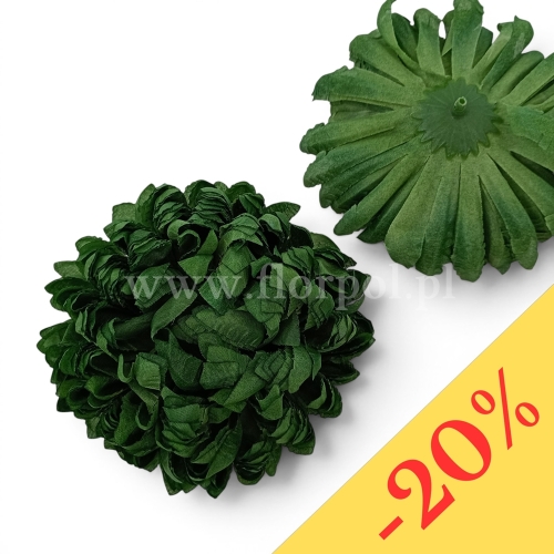 Chryzantema ananas 6szt #38 ciemna zieleń (Basia)
