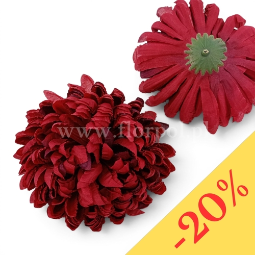 Chryzantema ananas 6szt #39 malinowa czerwień (Basia)