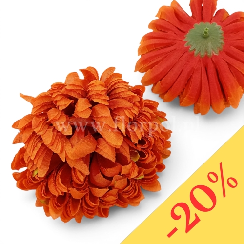 Chryzantema ananas 6szt #43 karotka/ruda nasada/zielony cień  (Basia)
