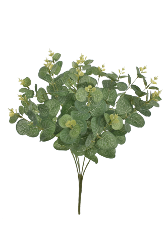 Eukaliptus bukiet GREEN (LIU007)
