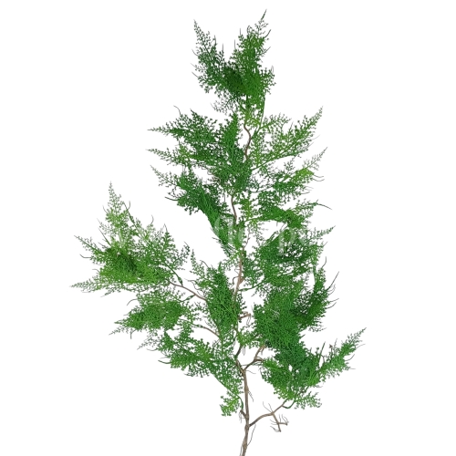 Girlanda asparagus 6szt green (JUN116)