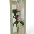 florpol.pl 14480.jpg