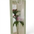 florpol.pl 14480.jpg