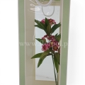 florpol.pl 14481.jpg