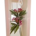 florpol.pl 14473.jpg