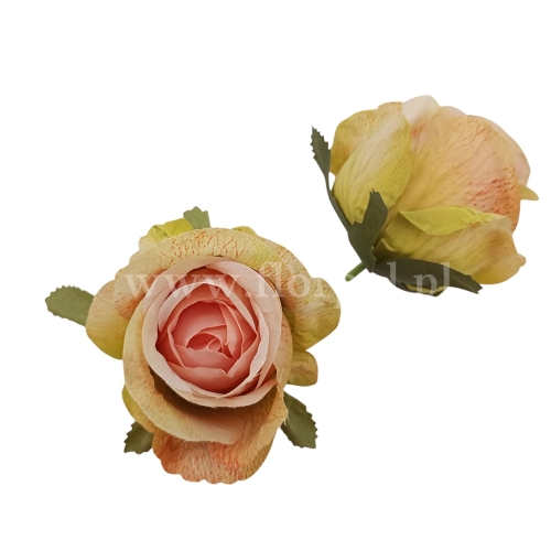 39d438d08f5000ea2012511de1eb2bf3