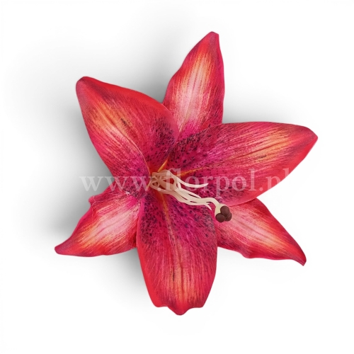 dfd0901db653b17cc9f1cc8f5beb8eee