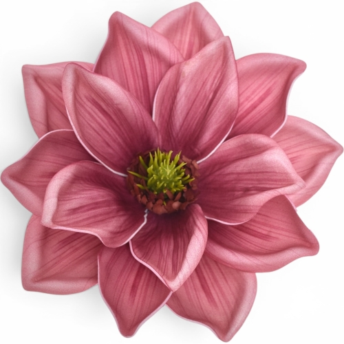 Magnolia wyrobowa DIRTY DR.PINK (LEV028)   