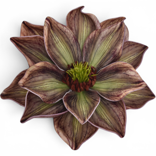 Magnolia wyrobowa BROWN GREEN (LEV028)