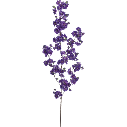 Wiśnia japońska DEEP VIOLET 24szt (SUN786)