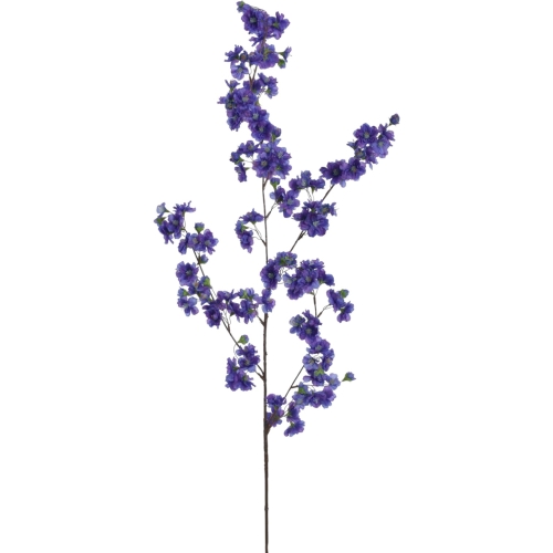 Wiśnia japońska ULTRA VIOLET 24szt (SUN786)