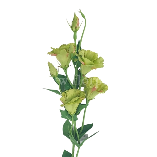 Eustoma atłasowa 7 kwiatów/ wysoka/cieniowana #2916 deep green (SUN345)