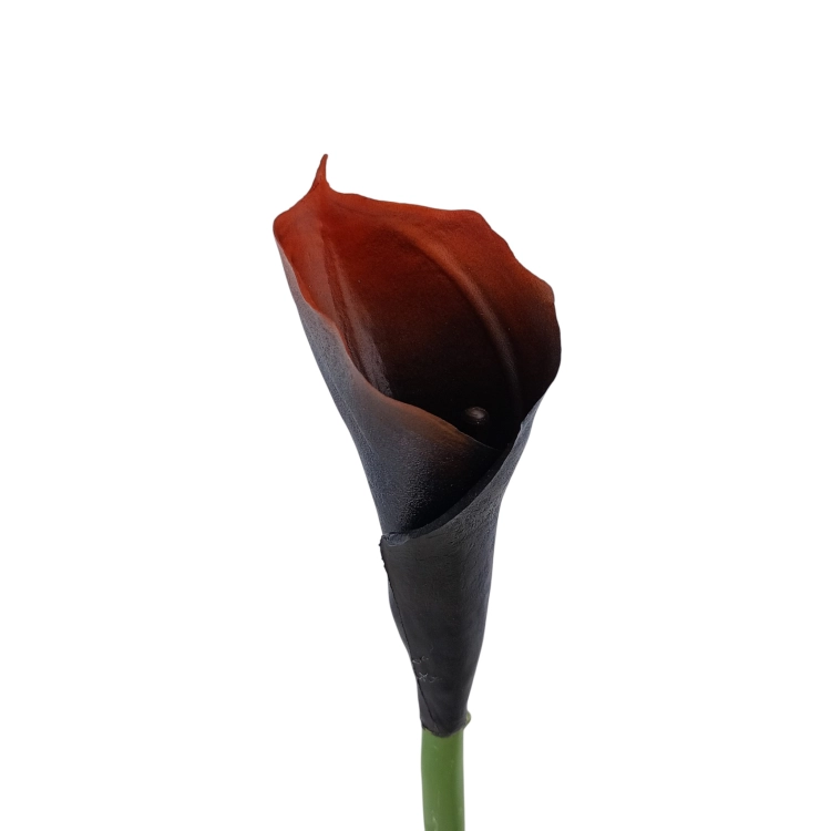 #198C brown.jpg