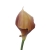 #C19 lt.browncream.jpg