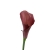 #C20 burgundy.jpg