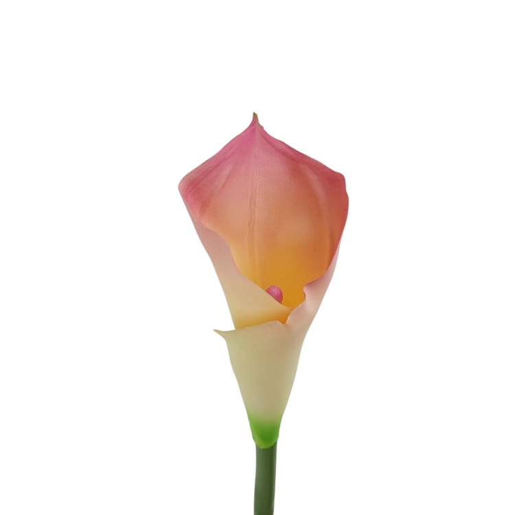 #C27 pink cream.jpg
