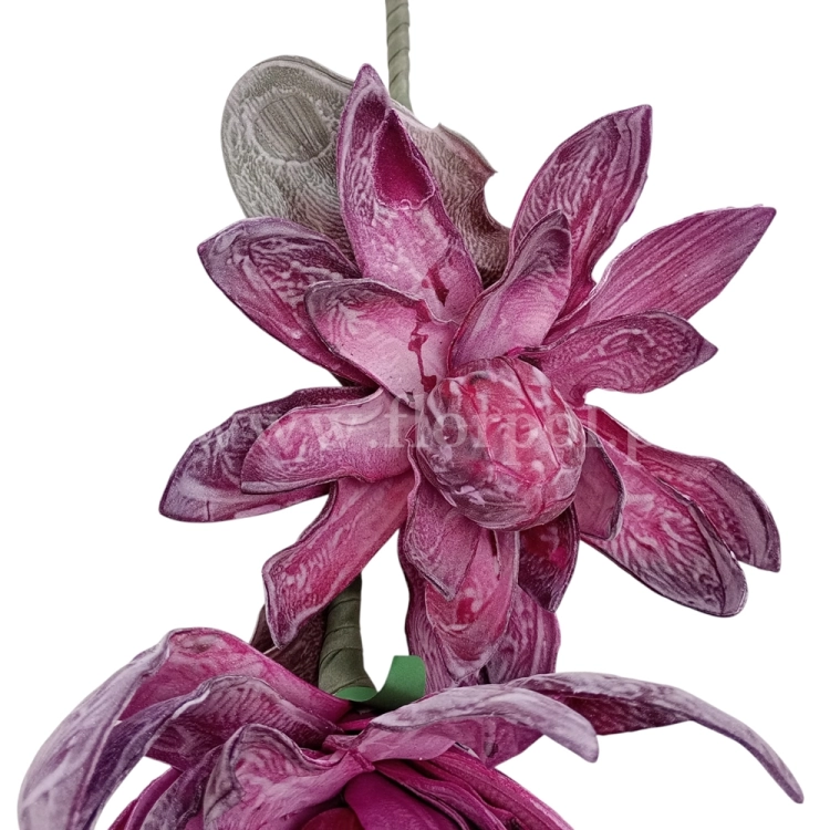 kwiat piankowy pianka 14825.jpg