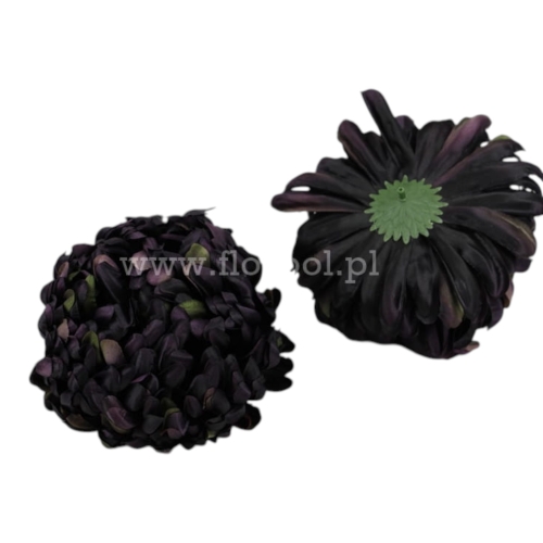 chryzantema JAKUB 6szt #61 aubergine (ART037)