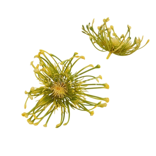 Protea plastikowa, wyrobowa 24szt żółty (T60-23-0776H)