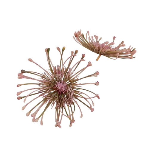 Protea plastikowa, wyrobowa 24szt różowy (T60-23-0776H)