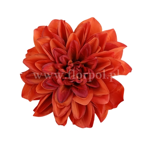 Dalia cieniowana, wyrobowa 6szt herbaciany (T137-23-0612 mix2)