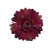 florpol.pl 14923.jpg