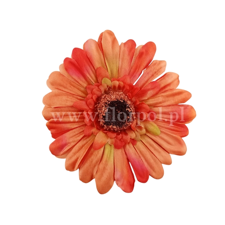 florpol.pl 14915.jpg