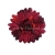 florpol.pl 14918.jpg