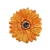 florpol.pl 14919.jpg