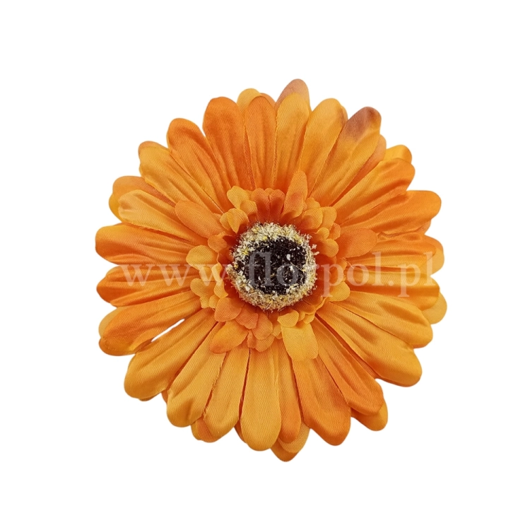 florpol.pl 14919.jpg