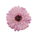 florpol.pl 14920.jpg