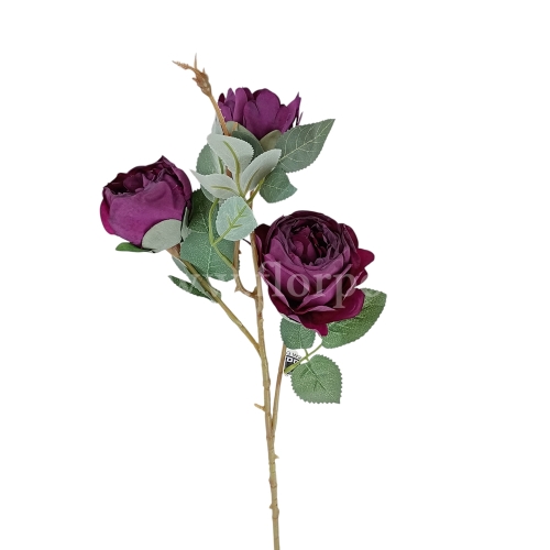florpol.pl 14929.jpg