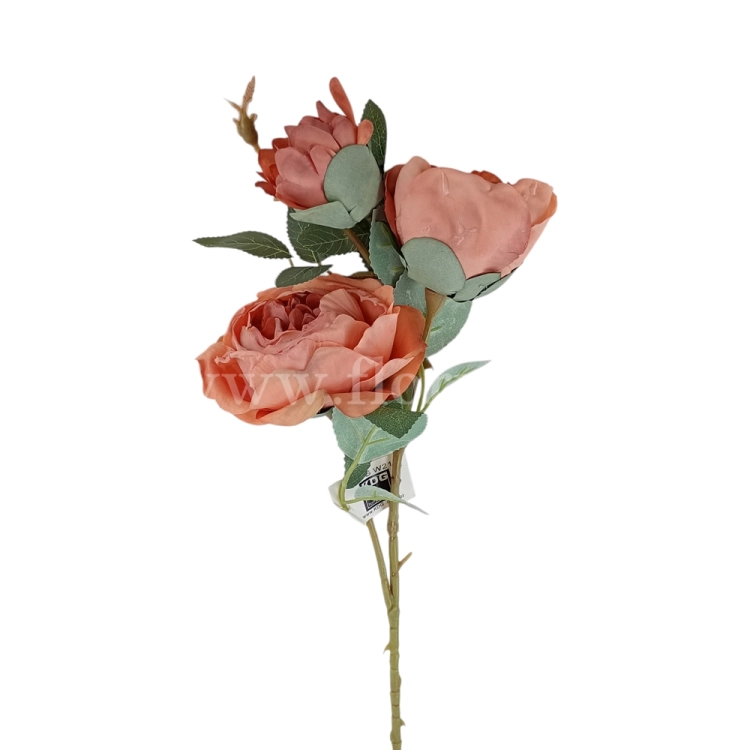 florpol.pl 14930.jpg