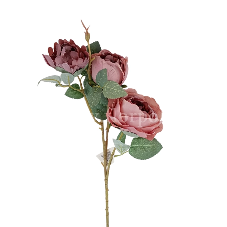florpol.pl 14931.jpg