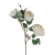 florpol.pl 14925.jpg