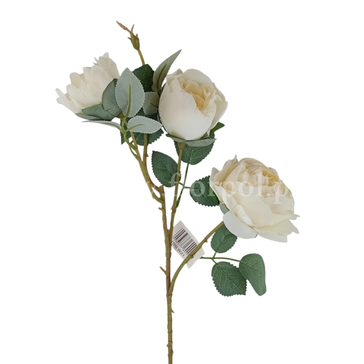 florpol.pl 14925.jpg