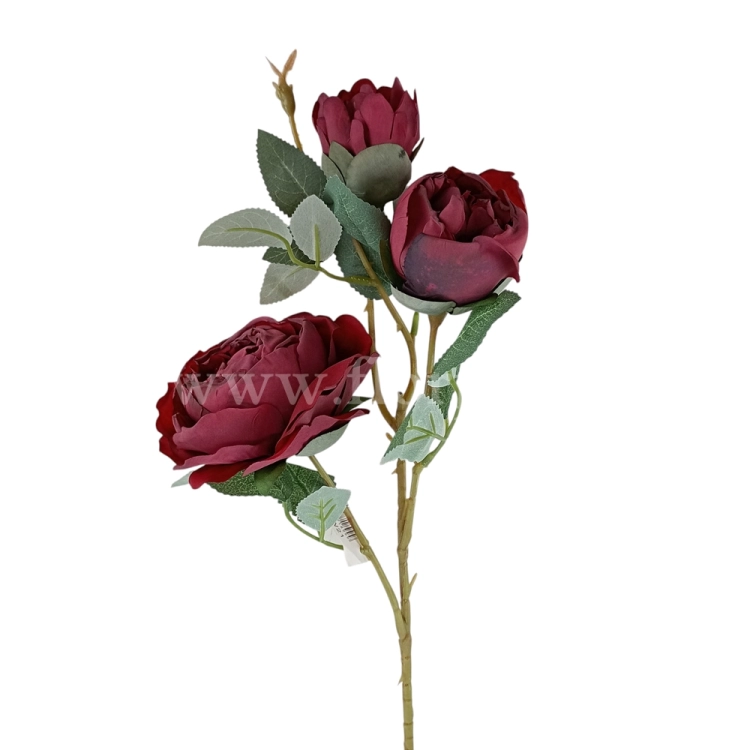 florpol.pl 14926.jpg