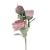 florpol.pl 14927.jpg