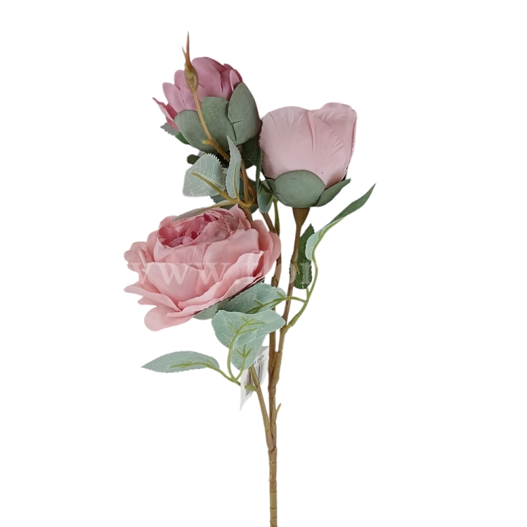 florpol.pl 14927.jpg