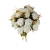 florpol.pl 14949.jpg