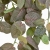 IMG_0142-Photoroom.jpeg