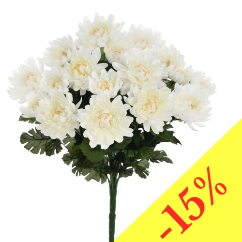 Chryzantema w bukiecie 18 główek DR CREAM (SUN777)  