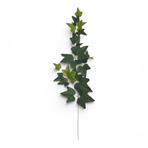 Hedera bluszcz wpinka GREEN 12 SZT (GREE064)