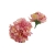 florpol.pl 14905.jpg