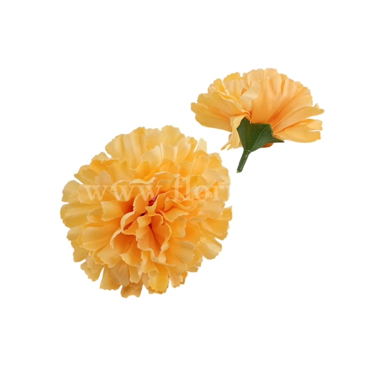 florpol.pl 14909.jpg